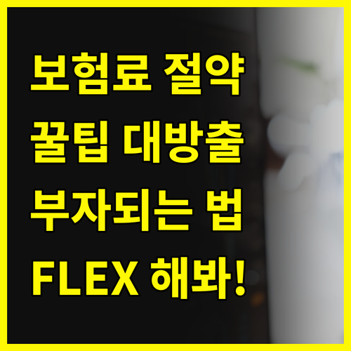 💰 부자되는 꿀팁! 자동차 보험료 아껴서 FLEX 해버리기