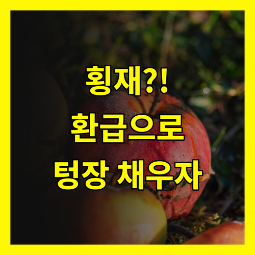 💸 뜻밖의 횡재?! 💸 건강보험료 환급으로 텅장 채우자!