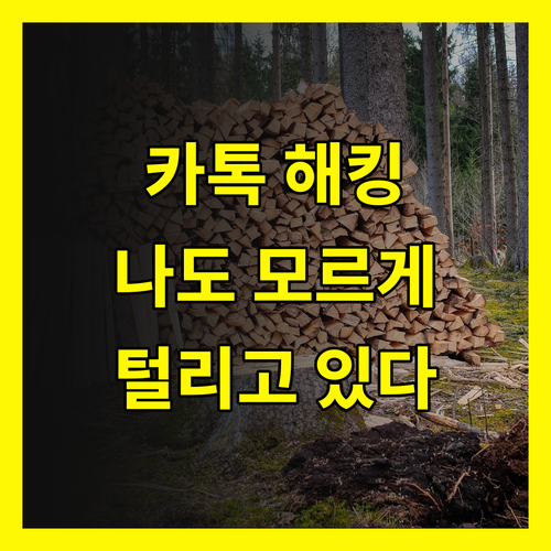 충격 카카오톡 해킹! 나도 모르는 새 털리고 있다?