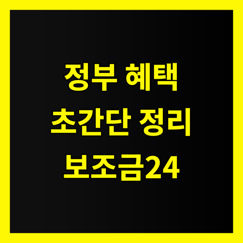 🤔 복잡한 정부 혜택? 보조금24 하나로 초간단 정리!