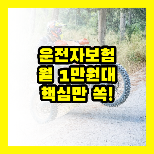 운전자 보험, 비싼 보험료 아깝다면? 가성비 갑, 핵심 보장만 챙기세요!