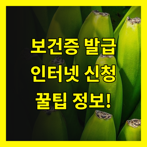 보건증 인터넷 발급: 놓치면 후회할 필수 정보!
