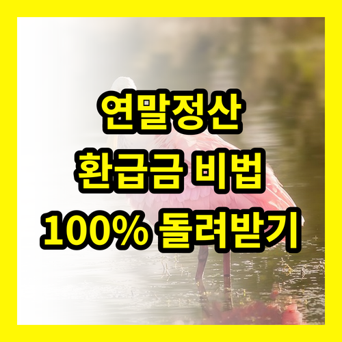 연말정산 증명서: 몰라서 손해 보는 환급금, 100% 돌려받는 비법 공개
