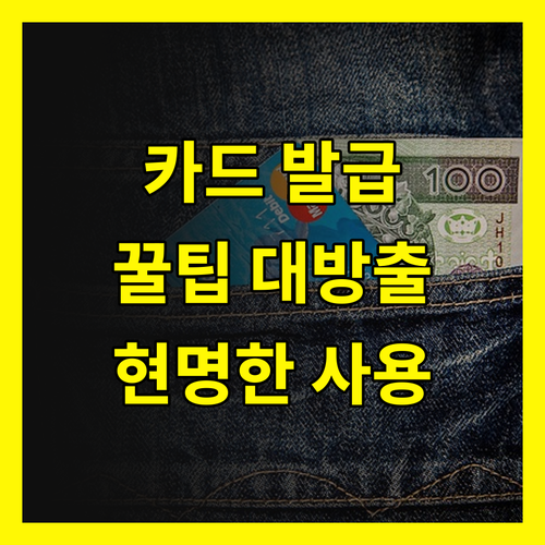 신용카드 발급, 꿀팁 대방출! 쉬운 발급부터 현명한 사용까지